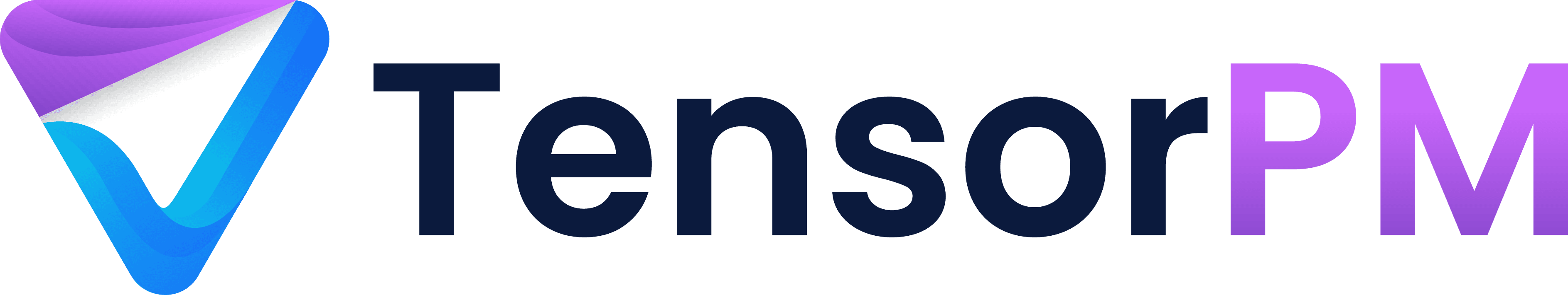 TensorPM Logo